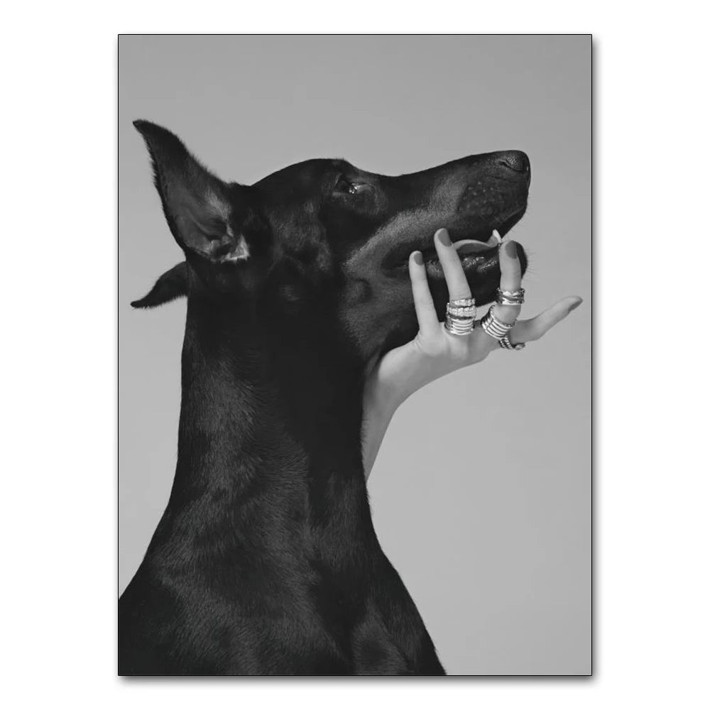 Cuadro Black White Doberman 