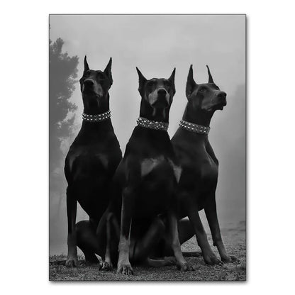 Cuadro Black White Doberman 